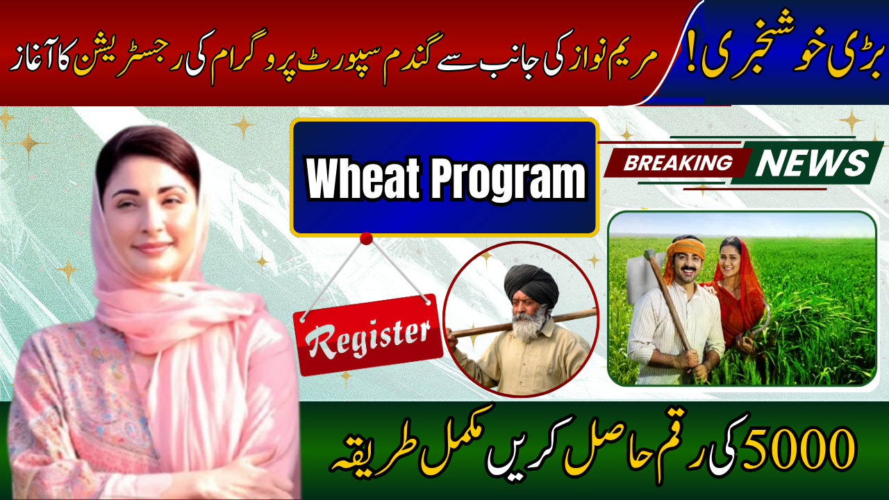 CM Punjab Wheat Support Program