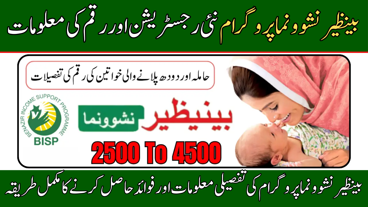 Benazir Nashonuma Program