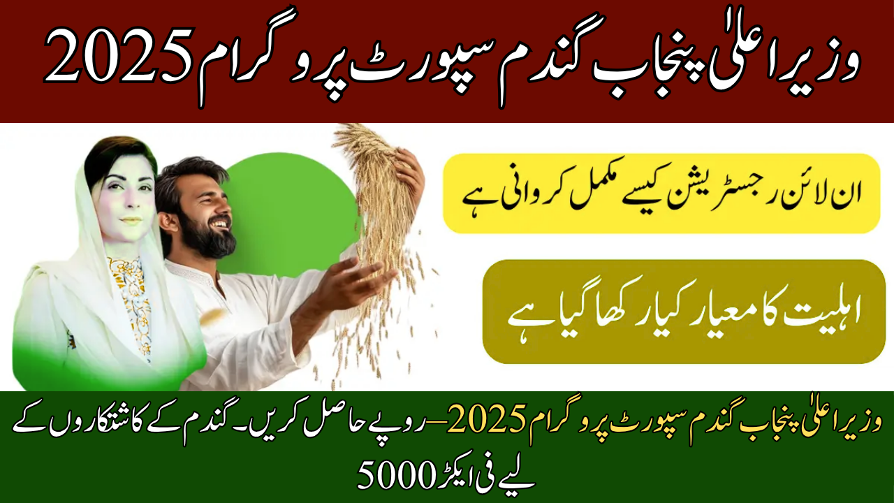 Punjab Wheat Support Program