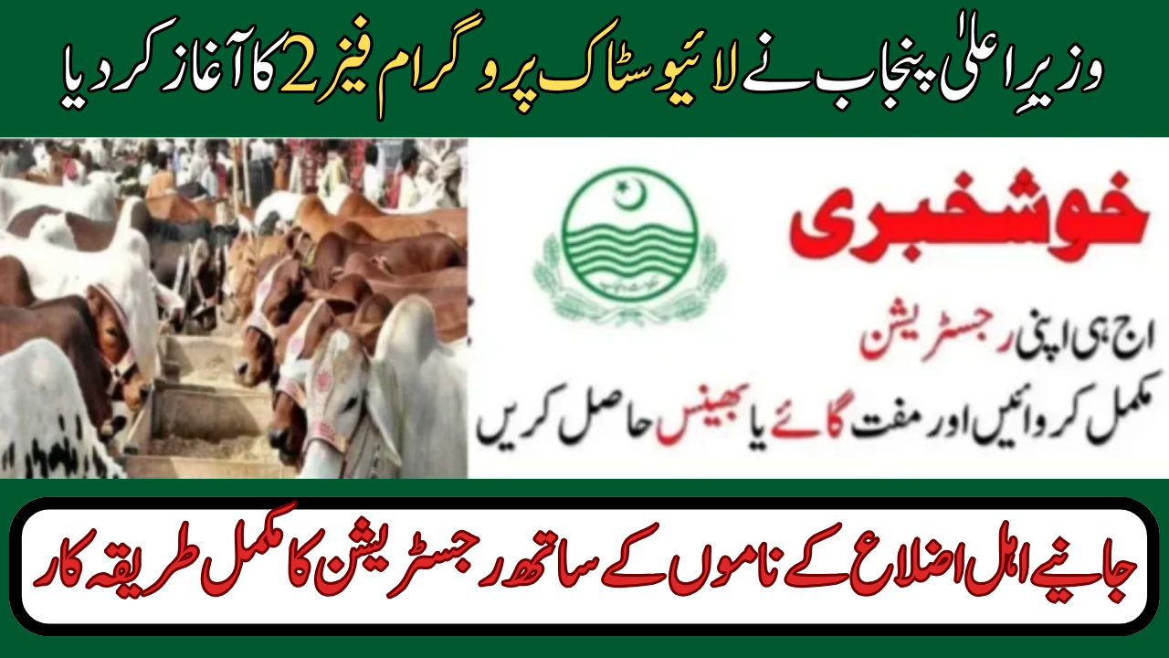 Livestock Program Punjab Phase 2