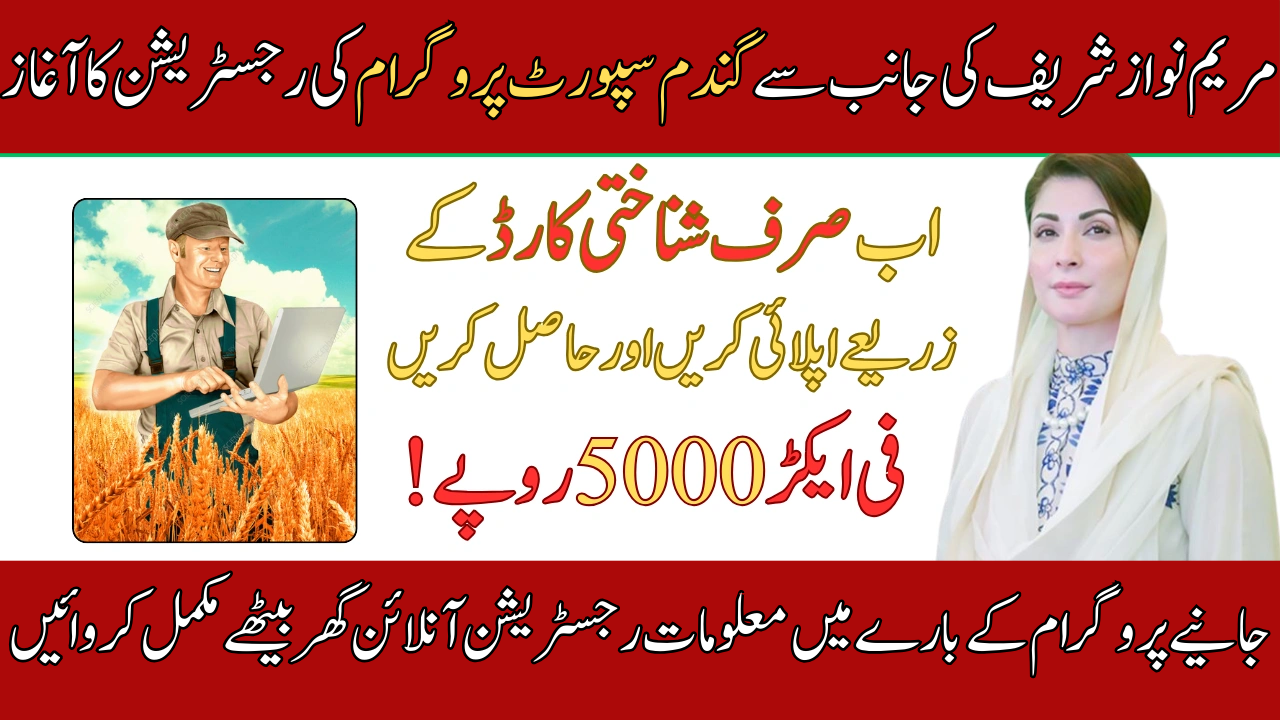 CM Punjab Wheat Support Program