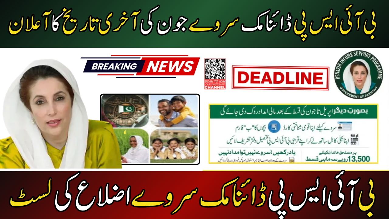 BISP Dynamic Survey