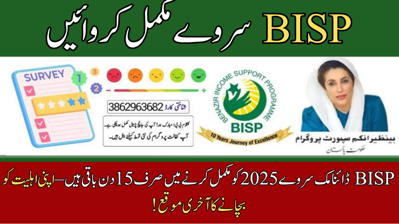 BISP Dynamic Survey