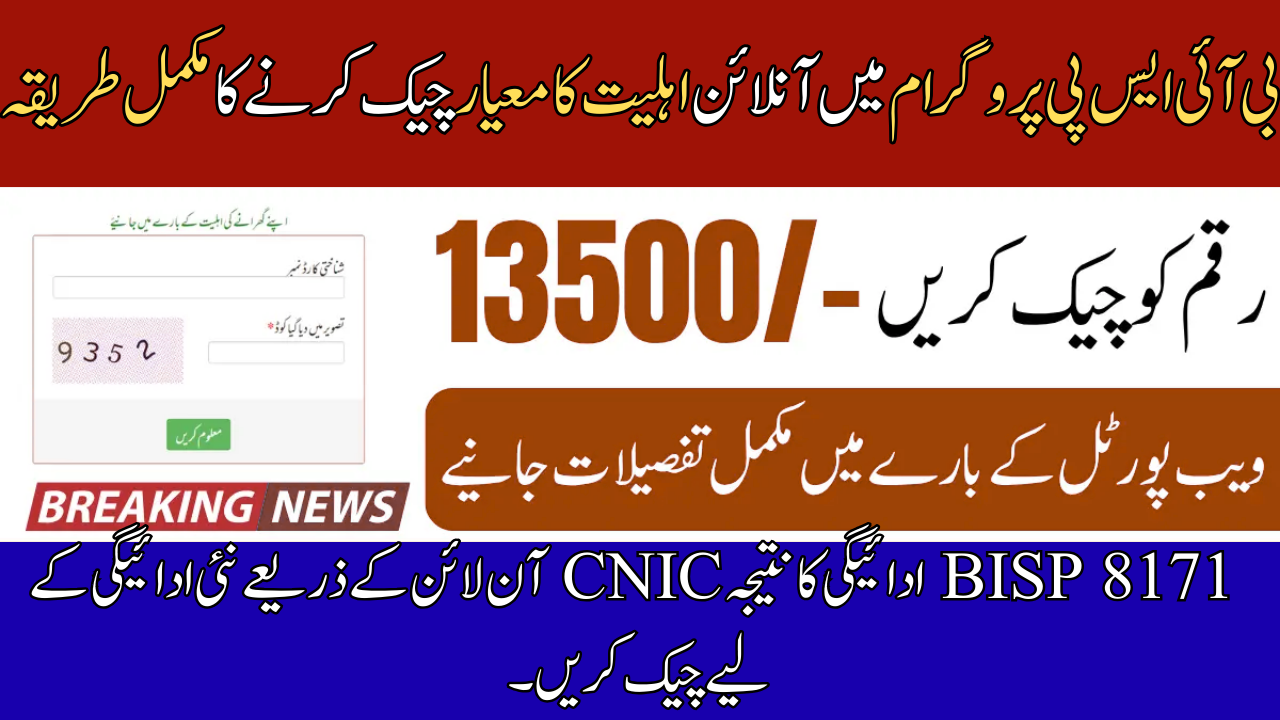 BISP 8171 Payment Result Check