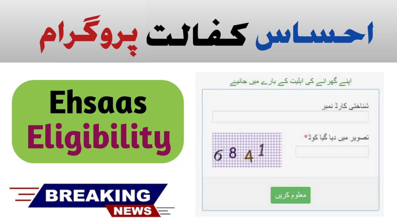 Ehsaas Kafaalat Program 2025 Check Your Family Eligibility and Latest Payment Update, 8171benazirhelps.com