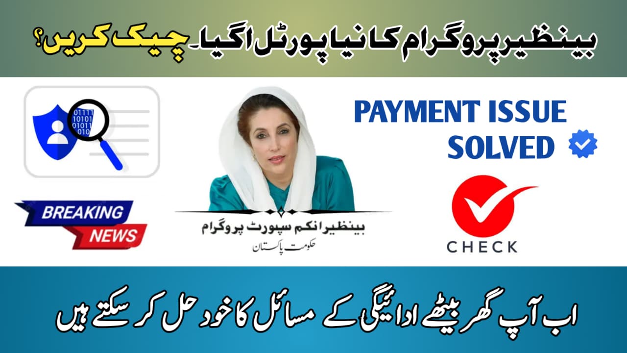 Benazir Program New Portal 2025 || Everything You Need to Know, 8171benazirhelps.com