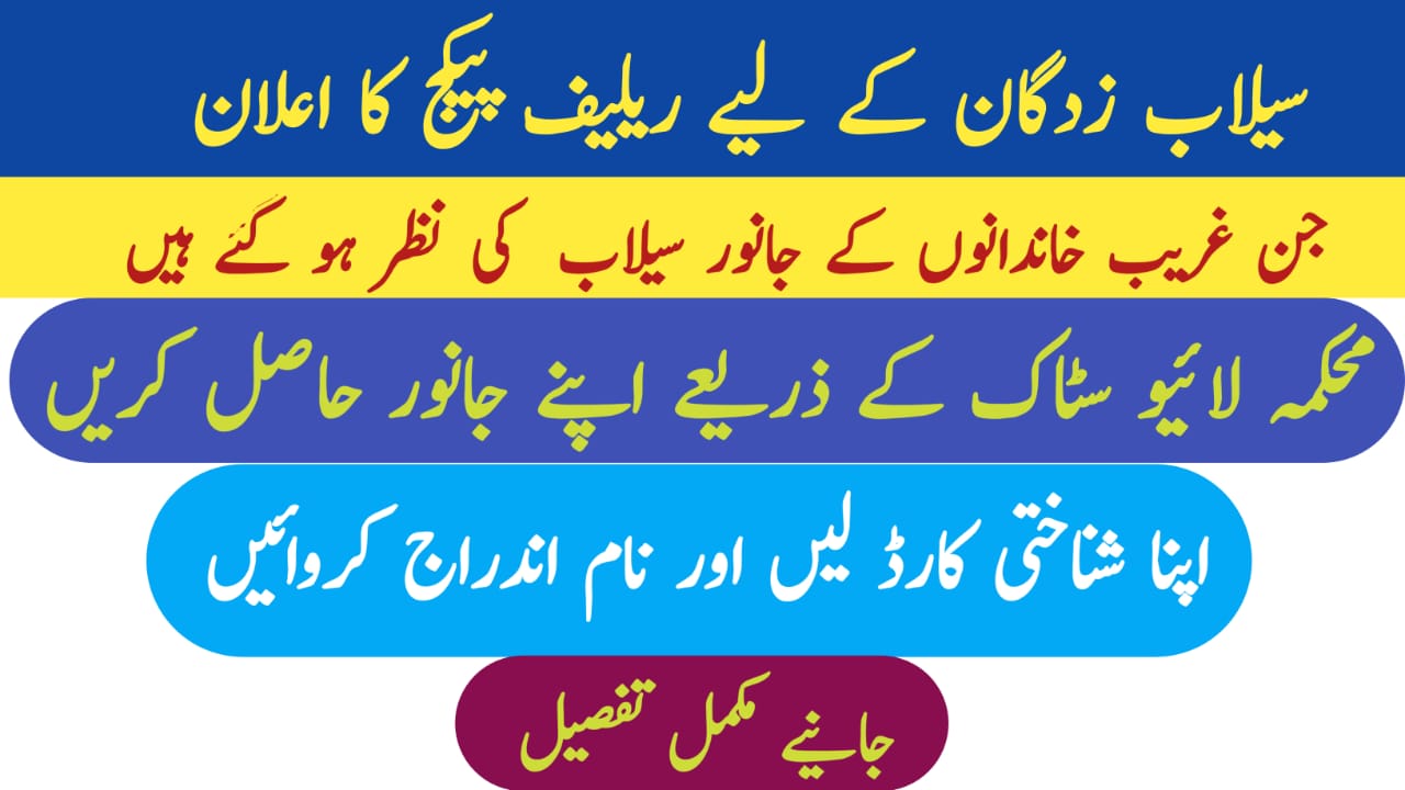 Maryam Nawaz Flood Relief