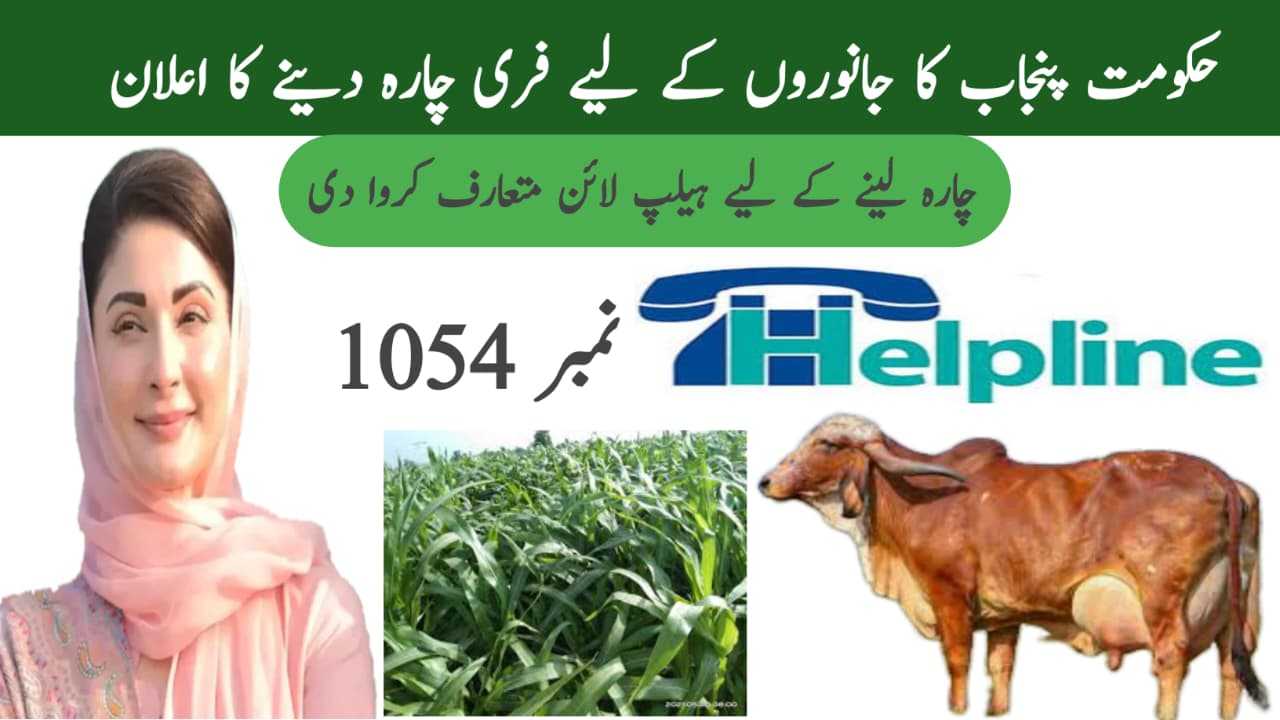 Punjab Government's Flood