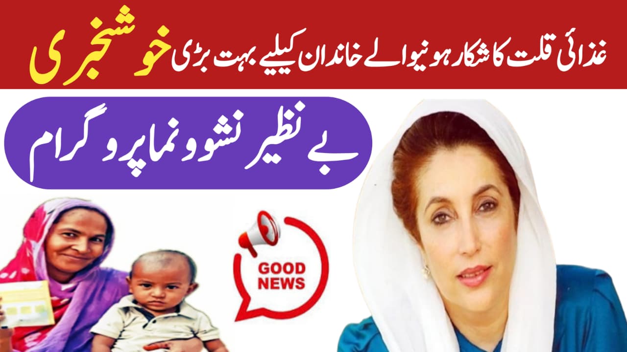 Benazir Nashonuma Program 2025