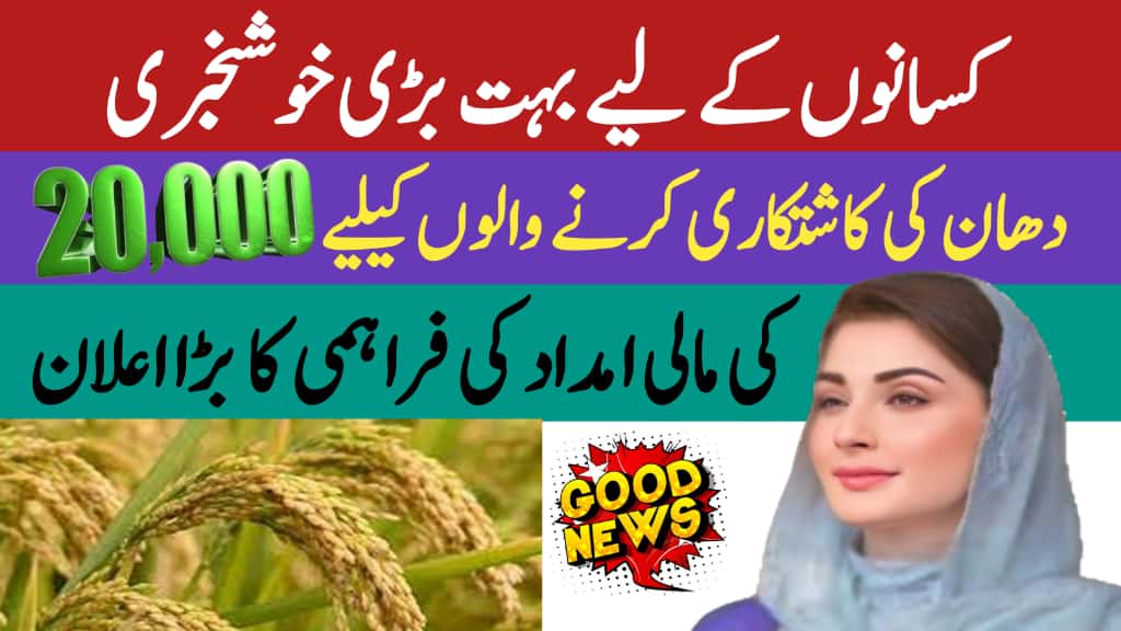 CM Punjab Announces