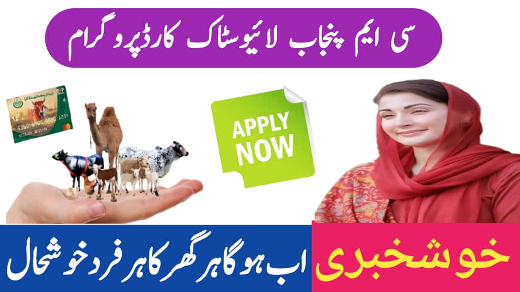 CM Punjab Livestock Card Program 2025 || Apply Online, Benefits & Eligibility, 8171benazirhelps