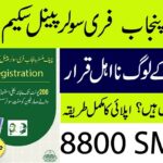 CM Punjab Free Solar Panel Scheme 2026: Online Registration, Eligibility & Complete Guide
