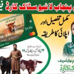 CM Punjab Livestock Card Scheme 2026: Get Interest-Free Loan of Rs. 270,000 for Cattle Farmers