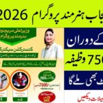 Chief Minister Youth Skill Development Program 2026: Online Registration and Application Guide