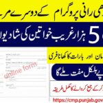 How To Apply For Dhee Rani Program 2026 (Complete Guide with Official Website)